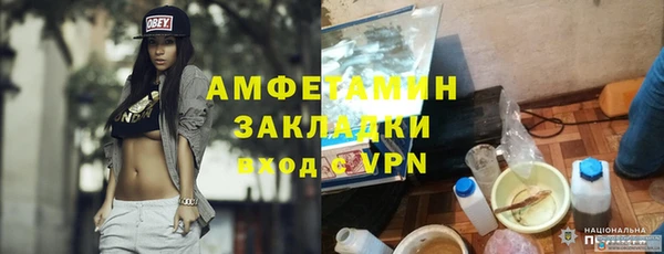 твердый Ладушкин