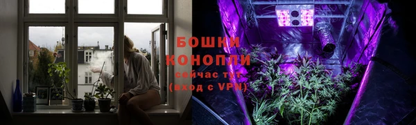 твердый Ладушкин