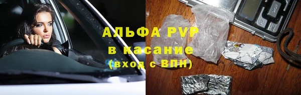 твердый Ладушкин