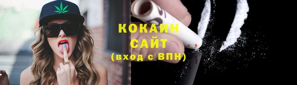 твердый Ладушкин