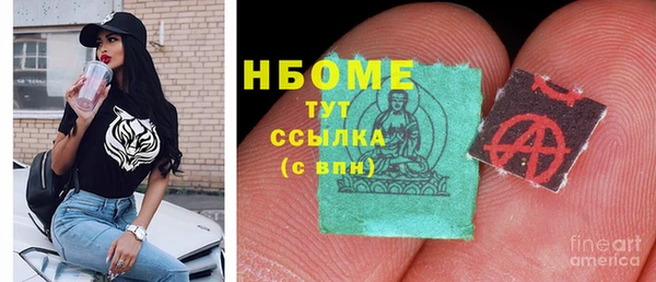 индика Вяземский