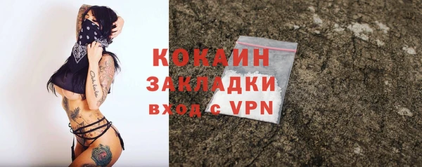 твердый Ладушкин