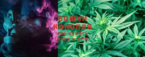 твердый Ладушкин