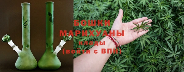 твердый Ладушкин