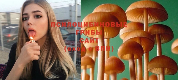 мяу мяу мука Лагань
